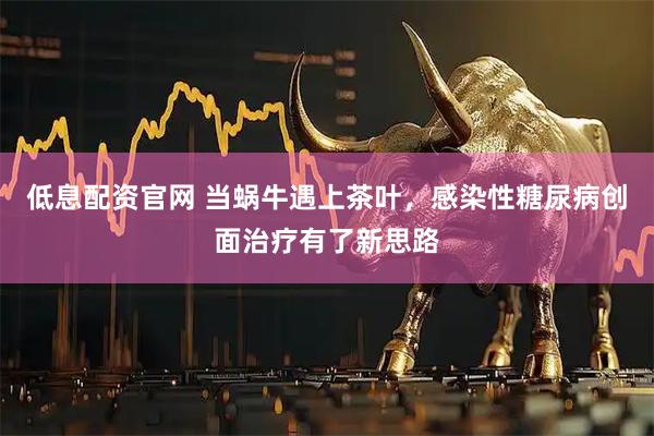 低息配资官网 当蜗牛遇上茶叶，感染性糖尿病创面治疗有了新思路