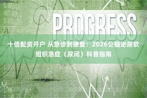 十倍配资开户 从急诊到康复：2026公猫泌尿软组织急症（尿闭）科普指南