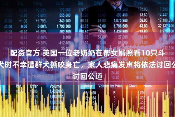 配资官方 英国一位老奶奶在帮女婿照看10只斗牛犬时不幸遭群犬撕咬身亡，家人悲痛发声将依法讨回公道