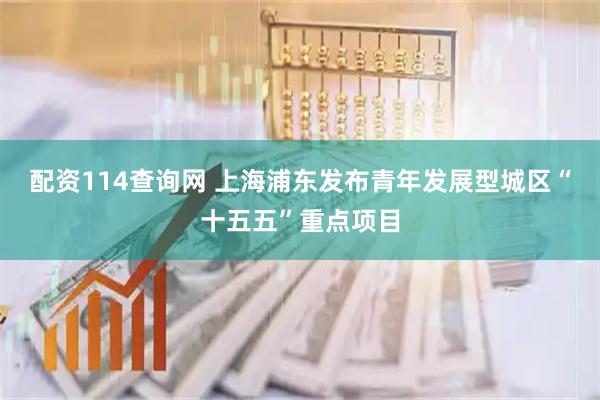 配资114查询网 上海浦东发布青年发展型城区“十五五”重点项目