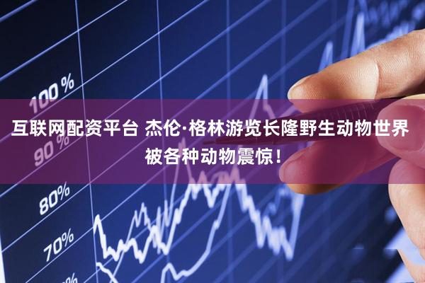 互联网配资平台 杰伦·格林游览长隆野生动物世界 被各种动物震惊！